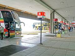 Empresas de micros de larga distancia suman estrategias inéditas para competir