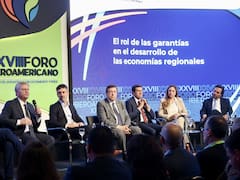 Menos grieta y más planificación: los gobernadores no ocultan el malestar por la falta de respuestas