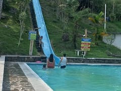 El balneario de aguas termales que está escondido en un bosque y tiene abejas que te harán un tratamiento exclusivo