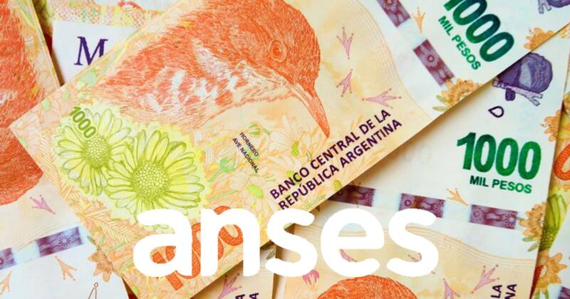 El calendario de pagos de ANSES figura disponible en la web y en la app están los cobros individuales