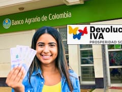 Devolución del IVA: este es el link para verificar si tiene pagos a cobrar en noviembre