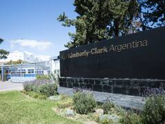 Kimberly-Clark invertirá u$s 80 millones y apuesta a Latinoamérica