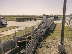 Inversora Juramento paga u$s 56 millones por un campo de 24.000 hectáreas en Salta