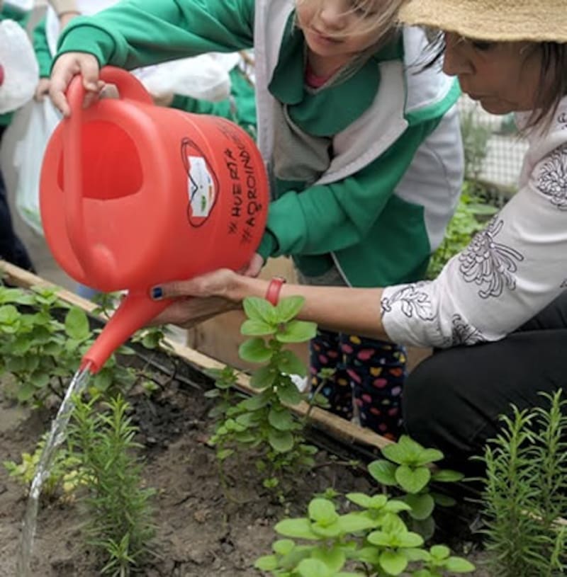 Las huertas urbanas se pueden armar en un balcón, una ventana o en la oficina.