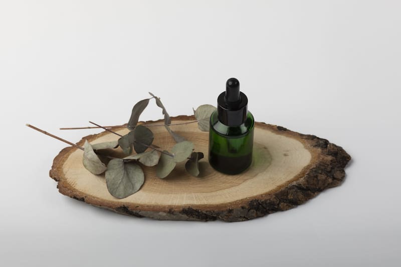 El aroma del aceite de eucalipto, aunque agradable para las personas, desorienta a los mosquitos al interferir con su detección del dióxido de carbono (Fuente: Freepik)