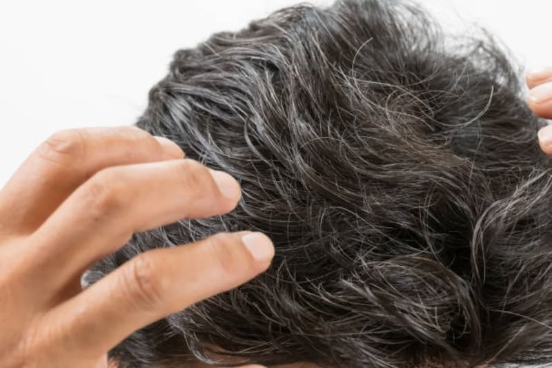 El romero es una alternativa natural que vale la pena probar (Fuente: Archivo).