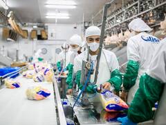 Un grupo avícola invertirá u$s 25 millones para aumentar un 400% su producción en Entre Ríos