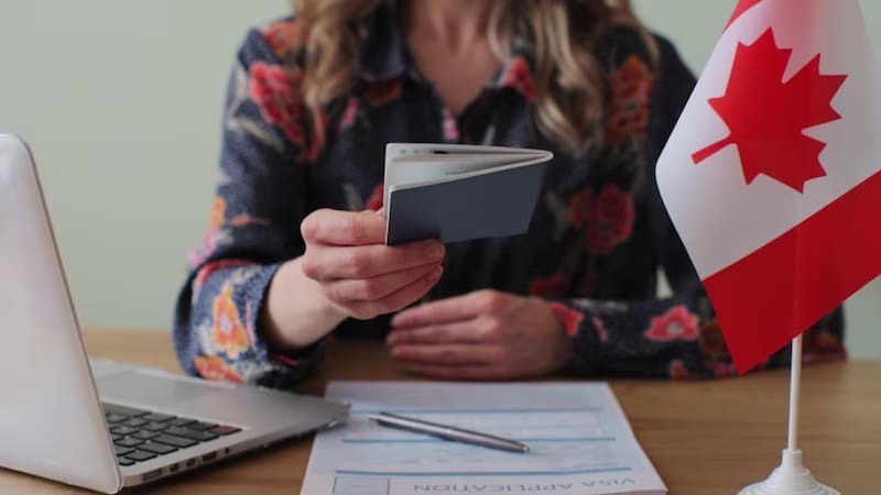 <div class="migrated-promo-image__description"><div class="migrated-promo-image__source">Fuente: Freepik</div></div>