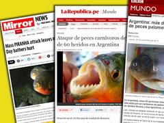 El mundo habla del ataque de las palometas rosarinas