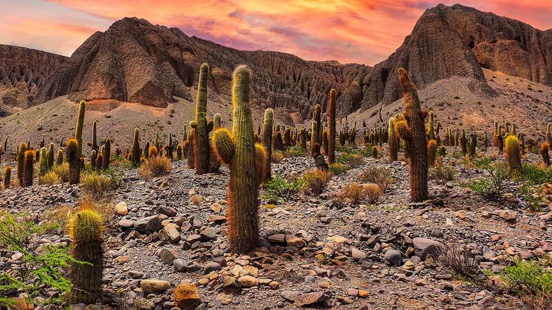 Visitá un rincón muy especial de Salta en tu próximo viaje al norte argentino.
