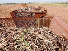 Productores de azúcar y de bioetanol advierten sobre un golpe "brutal" para el sector