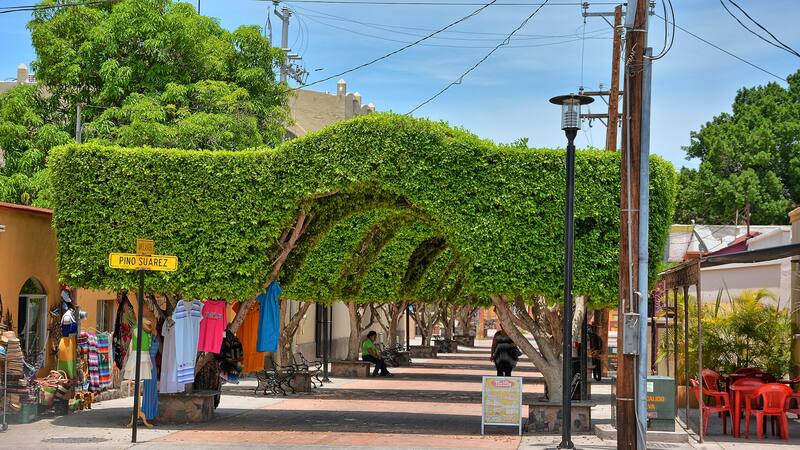 El hermoso pueblo mágico de Baja California Sur con un particular encanto.