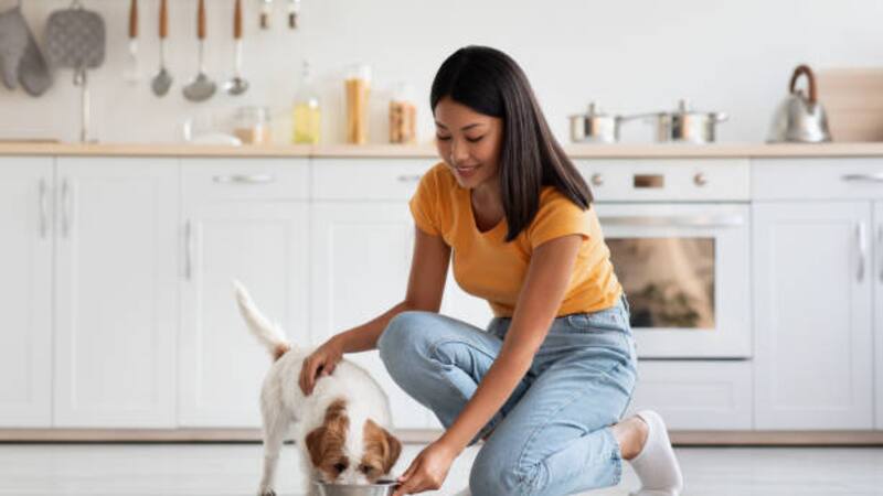 Conocé qué alimento tenés que evitar darle a tu perro.