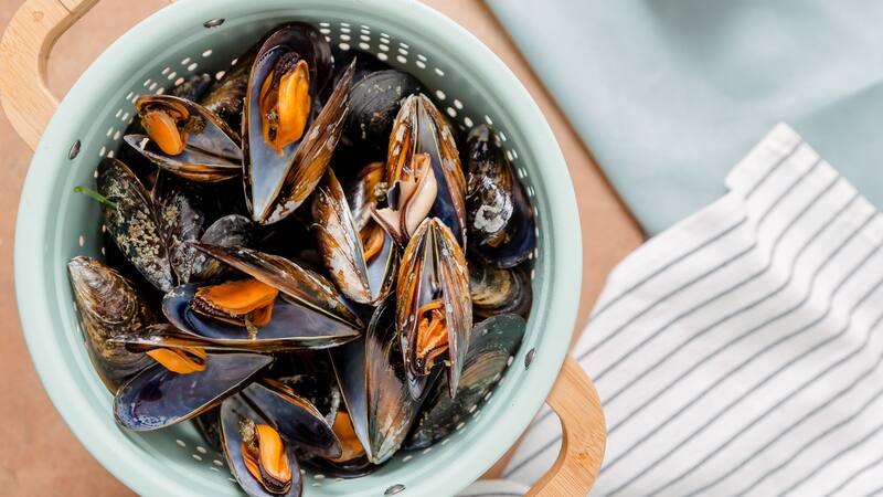 <div class="migrated-promo-image__description"><div class="migrated-promo-image__source">Fuente: Canva</div></div>