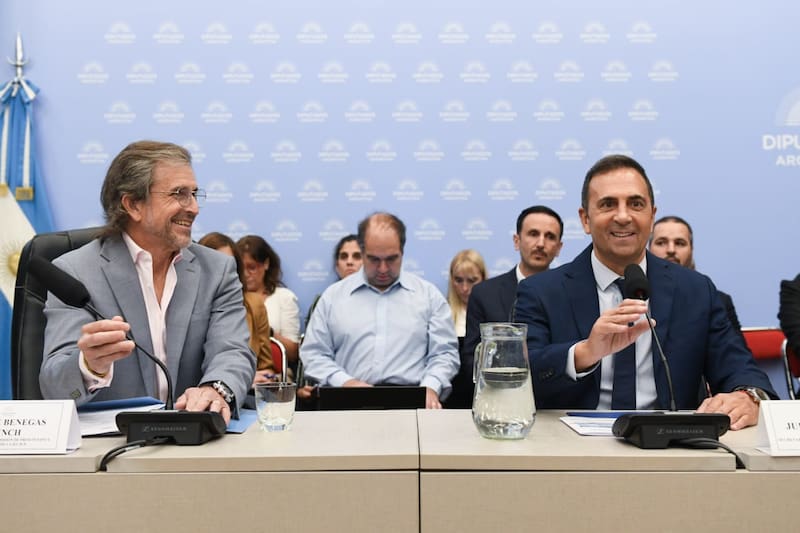 El secretario de Trabajo con el titular de la Comisión de Presupuesto Bertie Benegas Lynch