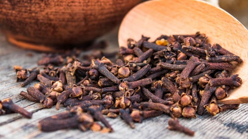 Los antioxidantes presentes en los clavos de olor ayudan a proteger el sistema circulatorio. Foto: archivo El Cronista México