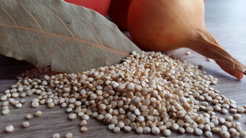 La quinoa es uno de los alimentos que tiene más proteínas, energía y una cantidad excepcional de minerales. Fuente: Pixabay.