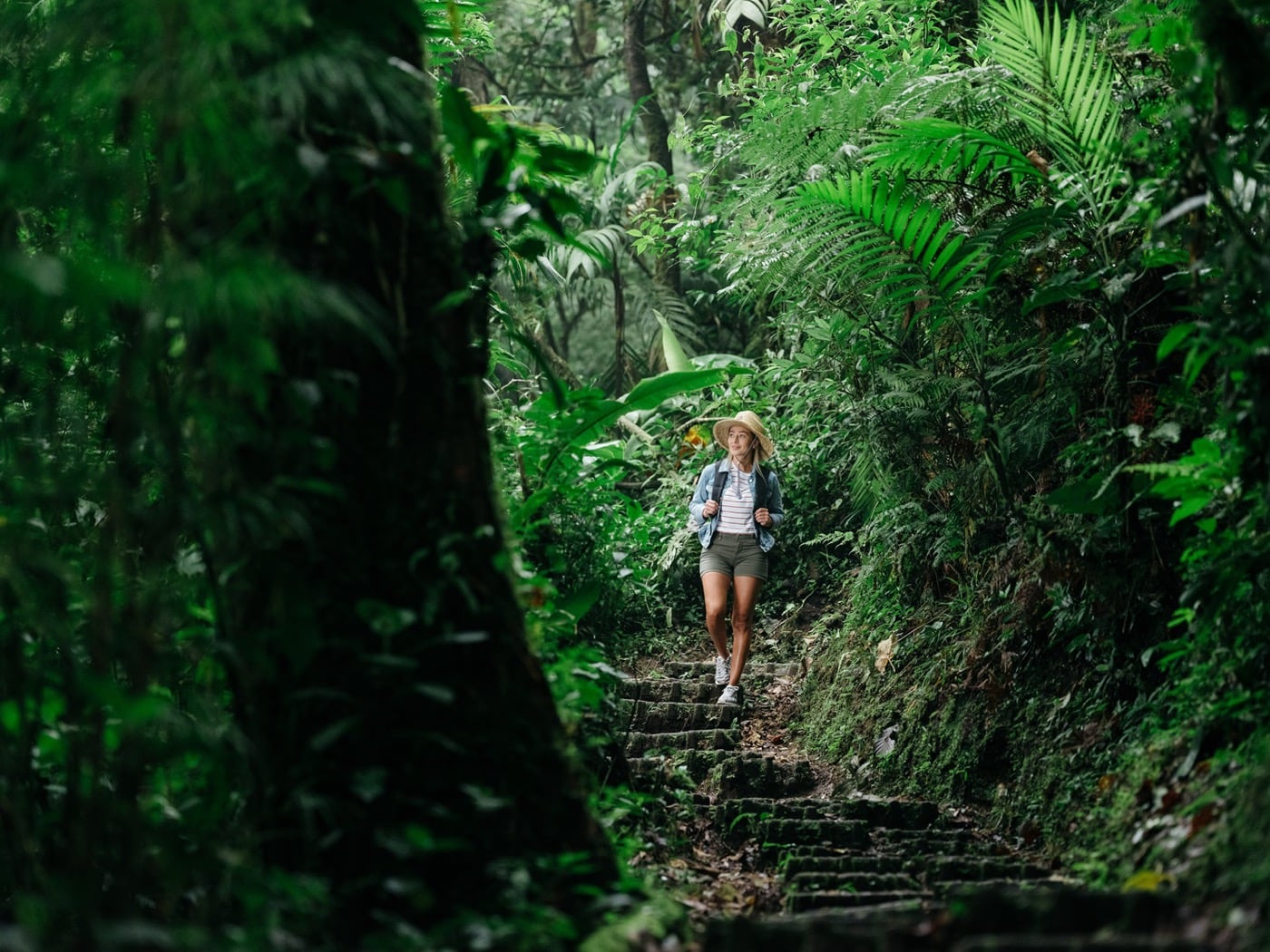 Caminata por un sendero del bosque tropical