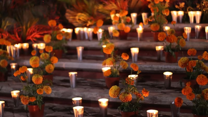 <div class="migrated-promo-image__description"><div class="migrated-promo-image__source">Fuente: Pixabay</div></div>