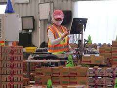 Qué beneficios recibirán las empresas que contraten mujeres y personas trans en provincias del norte