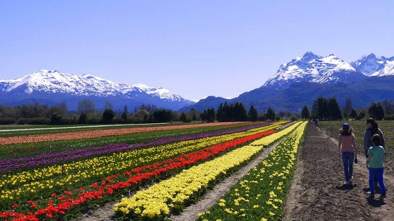Durante la primavera, Trevelin se transforma en un espectáculo visual con una explosión de colores de flores autóctonas y exóticas. (Foto: Turismo Trevelin)