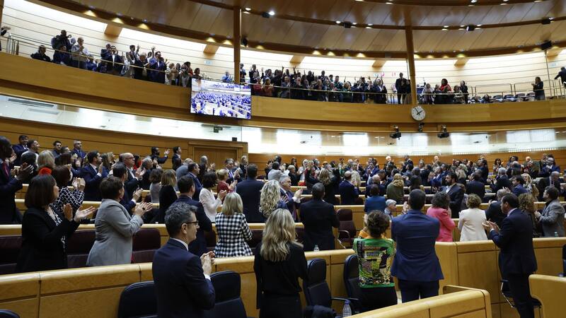 Reforma constitucional: el oficialismo propone incluir una reforma legal en medio del debate por el aborto.