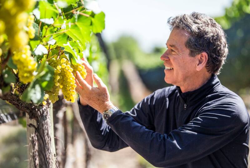 Las más exportadas son las variedades 'Sweet Globe', 'Red Globe', y 'Allison', que son las más demandadas internacionalmente. Foto: Archivo Cronista México.