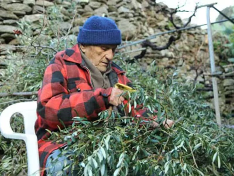 Contra todo pronóstico médico, este paciente de cáncer logró vivir casi hasta los 100 años. Fuente: Archivo
