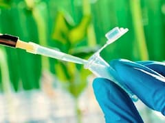 Fyo levantó u$s 12,3 millones con ON dólar linked para el desarrollo de nutrición vegetal