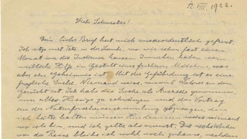 Fragmento de la carta de Einstein a su hermana mayor, Maja, previniéndola sobre el nazismo. (Imagen: Kedem Auction House)