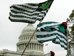 Joe Biden indultó a todos los presos por posesión de marihuana en Estados Unidos