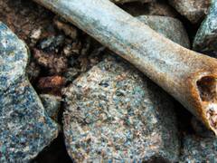 Revelación sin precedentes: encuentran los huesos de un antiguo hobbit de 700.000 años