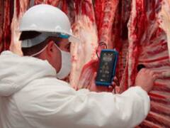 Por caída de precios internacionales, las exportaciones de carne vacuna cayeron 4,3% en octubre