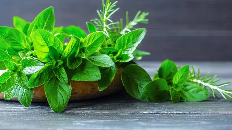 <div class="migrated-promo-image__description"><div class="migrated-promo-image__source">Fuente: Shutterstock</div></div>