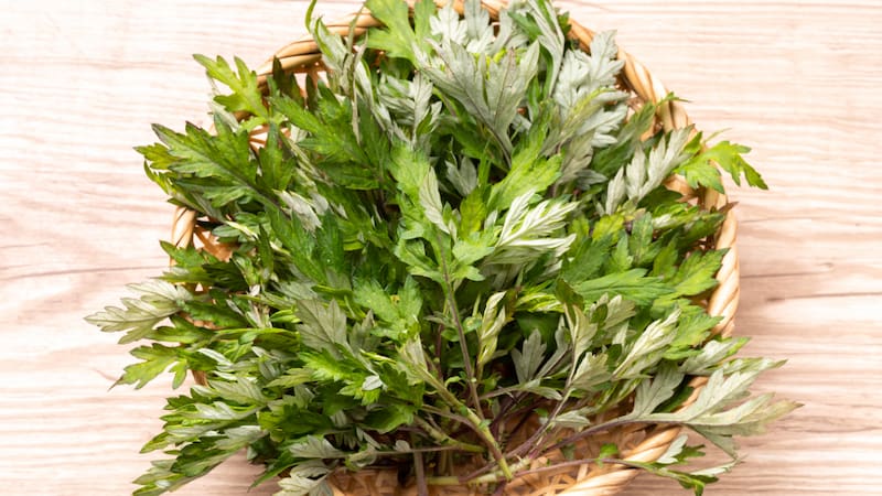 <div class="migrated-promo-image__description"><div class="migrated-promo-image__source">Fuente: EFE</div></div>