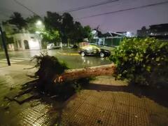 Se reanudan la mayoría de los servicios de luz, transporte y vuelos en la Provincia y Ciudad de Buenos Aires