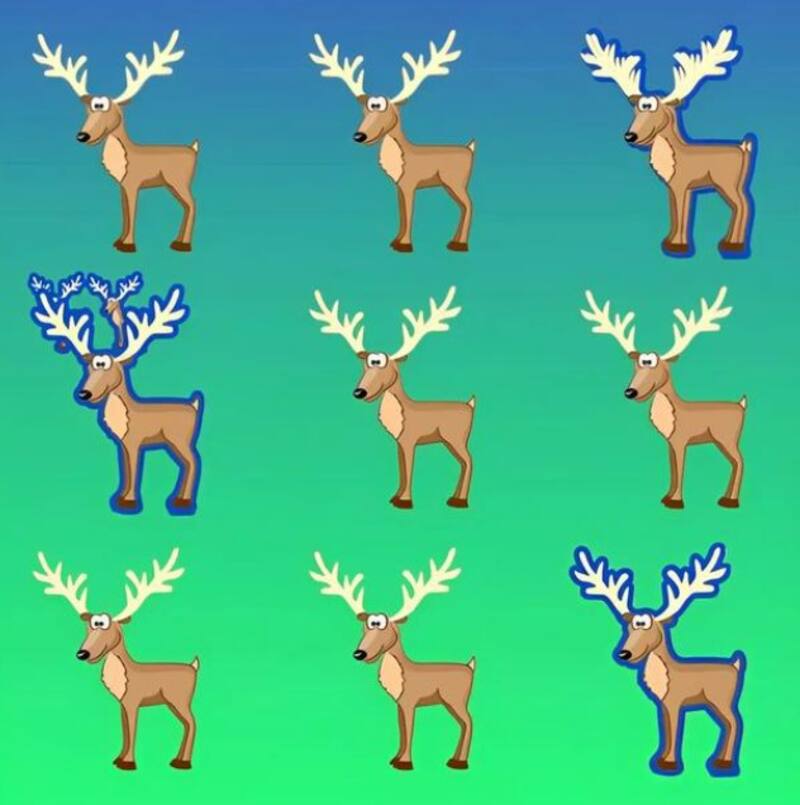 Hay venados ocultos. (Fuente: Genial.Gurú).