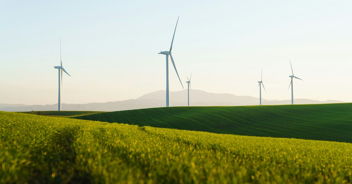 Afores ponen en la mira proyectos de carbono mientras el Banco Mundial alerta de bajos precios