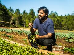 Uno de los mejores restaurantes de la Argentina está en Misiones: cuál es, qué se come y por qué es una maravilla como las Cataratas