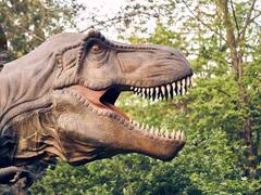 El mayor descubrimiento paleontológico del siglo en China | Hallan huellas de pequeños dinosaurios