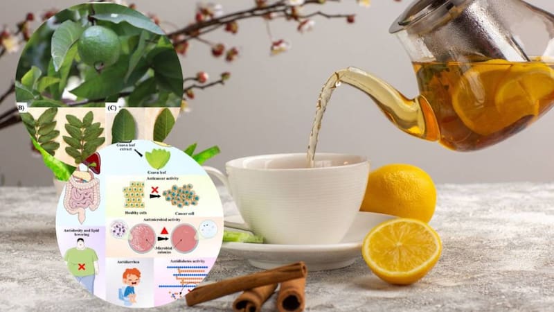 <div class="migrated-promo-image__description"><div class="migrated-promo-image__source">Fuente: Shutterstock y NIH</div></div>