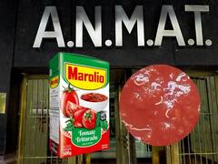 Salsa de tomate Marolio: la ANMAT dio otra noticia para todos los que tengan estas latas en su casa