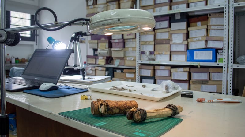 La investigación llevó mucho tiempo de experimentación con réplicas para observar los daños que se producen al trabajar distintos materiales.