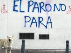 Colombia: tercer paro general al presidente de Duque, en sólo dos semanas