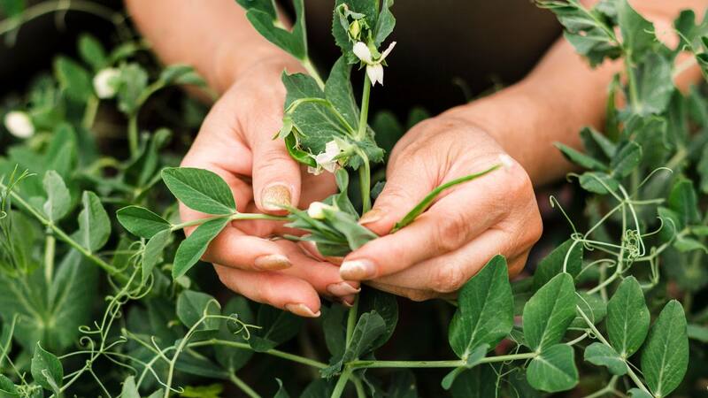 <div class="migrated-promo-image__description"><div class="migrated-promo-image__source">Fuente: Freepik</div></div>