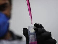 Aumentan los casos de hepatitis A: ya se han registrado más de 1000 contagios en lo que va de 2025 y se supera la cifra de todo 2024