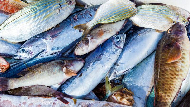 No es salmón: el pescado rico en omega-3 que puede reducir el Alzheimer y los infartos.