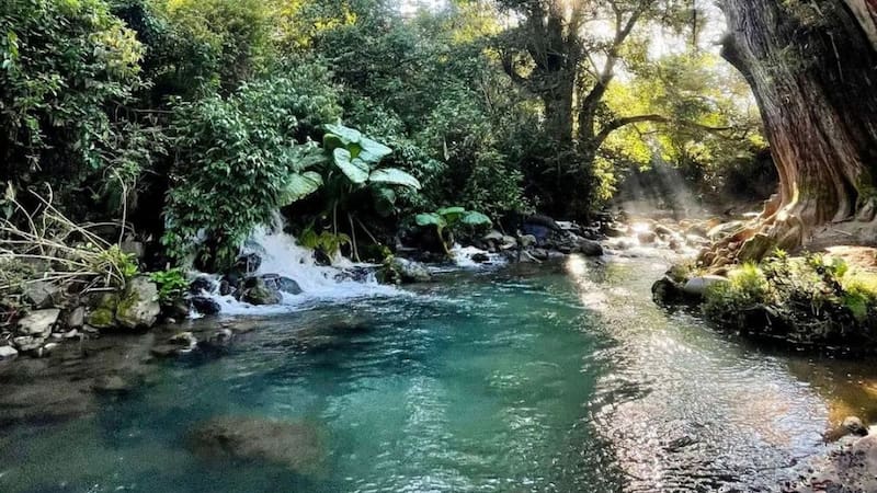 <div class="migrated-promo-image__description"><div class="migrated-promo-image__source">Fuente: Instagram @viridian.marti27</div></div>