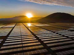 UTE recibió 13 ofertas de empresas nacionales y extranjeras para construir un nuevo parque solar