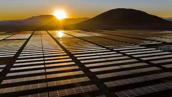 UTE recibió 13 ofertas de empresas nacionales y extranjeras para construir un nuevo parque solar